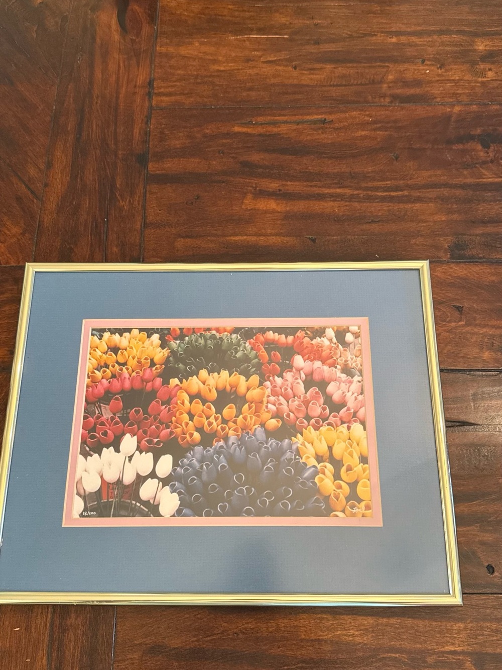 Framed Multicolor Tulip Art Print with Blue Mat
